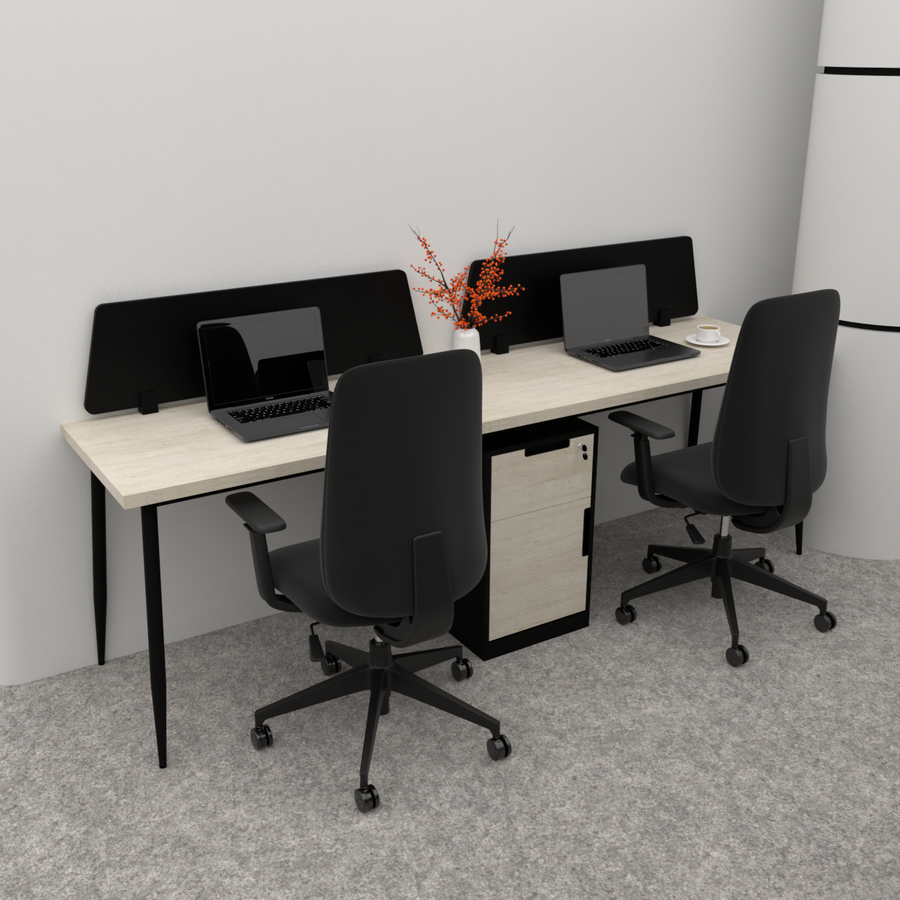 Creek Workstation Linear for 2 Person, with Partition and with storage