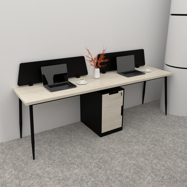 Creek Workstation Linear for 2 Person, with Partition and with storage